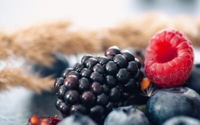 Opskrifter med sommerens bær